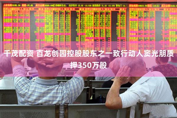 千茂配资 百龙创园控股股东之一致行动人窦光朋质押350万股