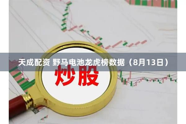 天成配资 野马电池龙虎榜数据（8月13日）