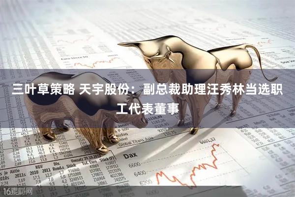 三叶草策略 天宇股份：副总裁助理汪秀林当选职工代表董事