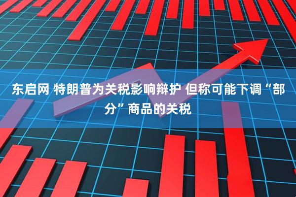 东启网 特朗普为关税影响辩护 但称可能下调“部分”商品的关税