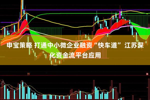 申宝策略 打通中小微企业融资“快车道” 江苏深化资金流平台应用